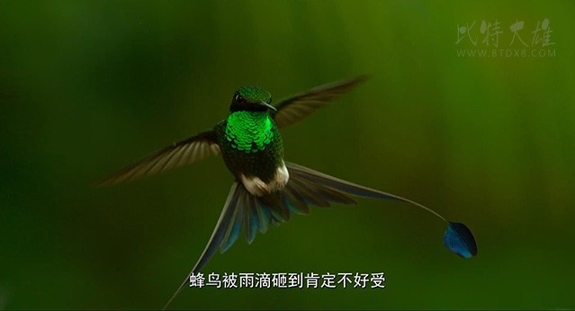 [地球：神奇的一天][HD-720P-MKV][国语中字][豆瓣8.2分][1.85GB][2017]