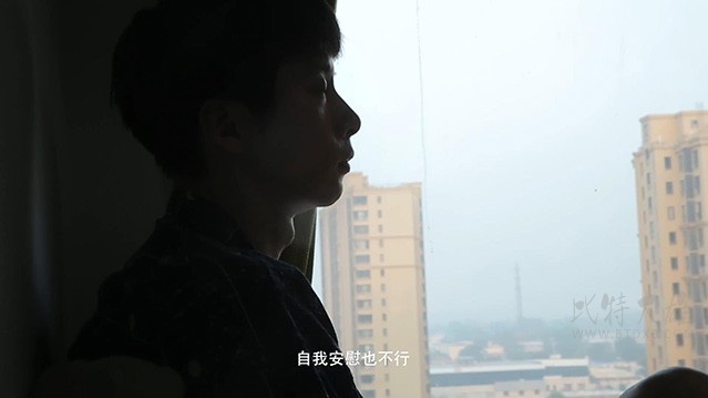 [悔恨][HD-1080P/2160P-MP4][国语中字][1.9GB/3.85GB][2017]