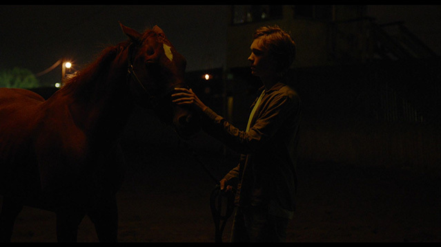 [赛马皮特][BD-720P/1080P-MP4][英语中字][豆瓣7.7分][3.68GB/9.5GB][2018]