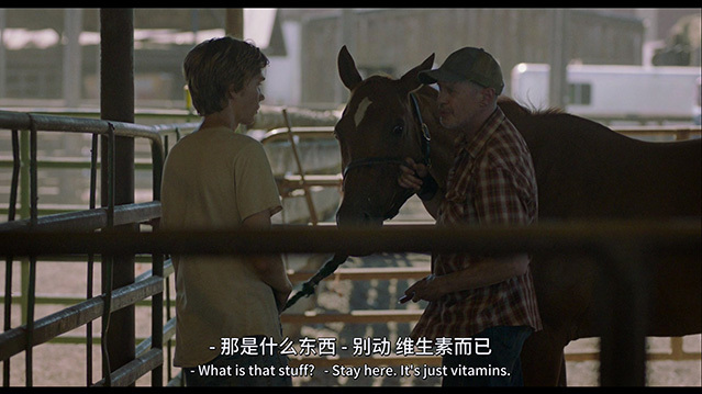 [赛马皮特][BD-720P/1080P-MP4][英语中字][豆瓣7.7分][3.68GB/9.5GB][2018]