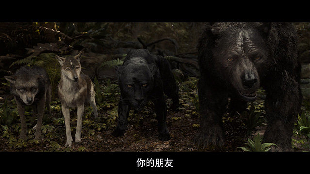 [森林之子毛克利][HD-720P/1080P-MP4][英语中字][豆瓣6.3分][1.69GB/3.03GB][2018]