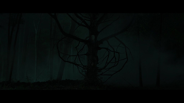 [瘦长鬼影][BD-720P/1080P-MP4][英语中字][豆瓣3.6分][943MB/1.93GB][2018]