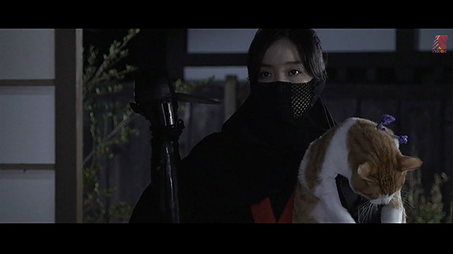 [猫忍 电影版][DVD-MP4][日语中字][豆瓣5.8分][1.03GB][2017]