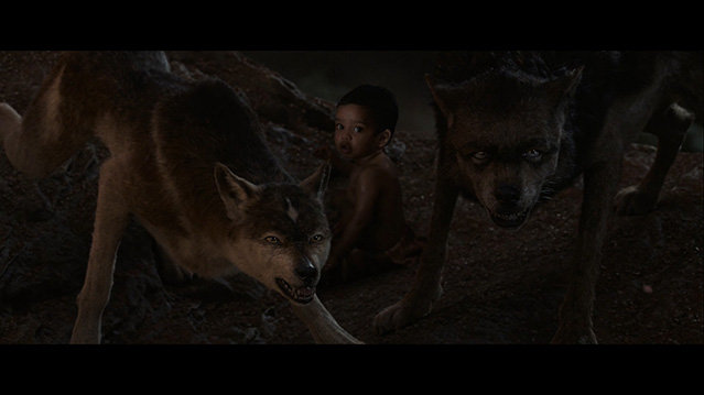 [森林之子毛克利][HD-720P/1080P-MP4][英语中字][豆瓣6.3分][1.69GB/3.03GB][2018]